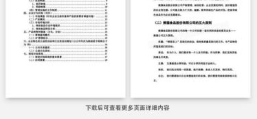 食品公司營(yíng)銷(xiāo)策劃書(shū)Word模板下載指南