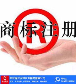 北碚工商變更指南 向企而創，助推文化藝術交流咨詢發展